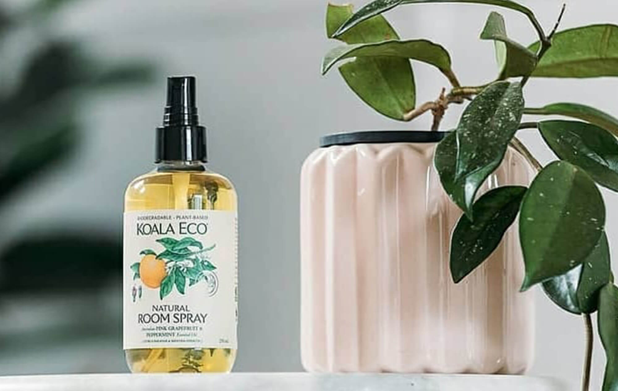 気分を和らげるヒーリング効果とリフレッシュ効果。